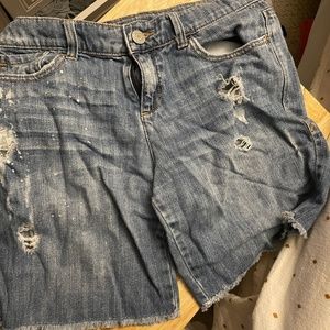 New York & Co. Shorts
